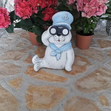 Holiday Petar *